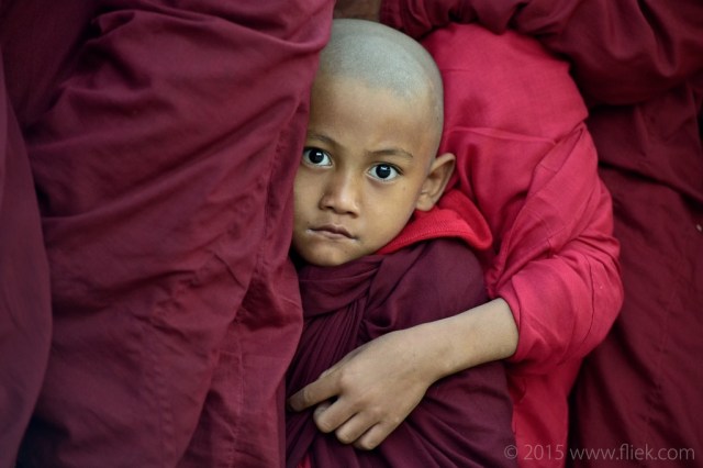 Ananda festival 2015 young monk