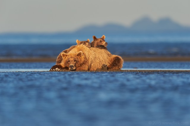 hallo-bay-water-sunset