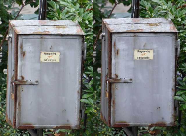 07-Nikon-600mm (G-vs-E-best-vs-best F8-250s vs F4-250s)